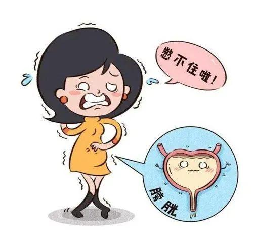 60岁以上的妇女中有10%—15%的人患有复发性尿路感染.即在12