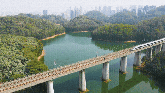 图源：美丽深圳微信公众号