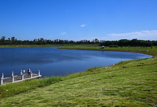 成都东湖湿地公园图片