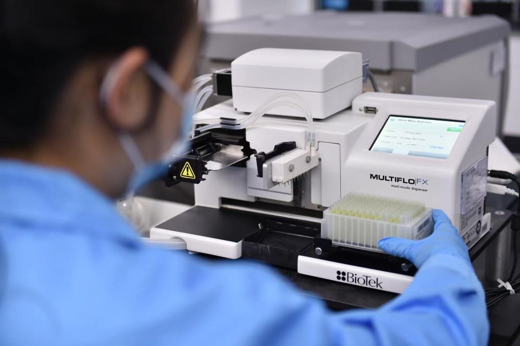 图为工作人员正在进行玉米dna提取,为分子检测做准备工作.