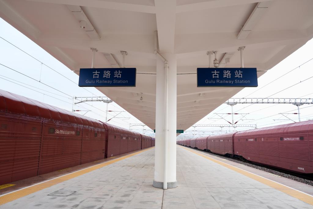 助力提速"渝车出海"行动计划 重庆东环铁路首发"重庆"