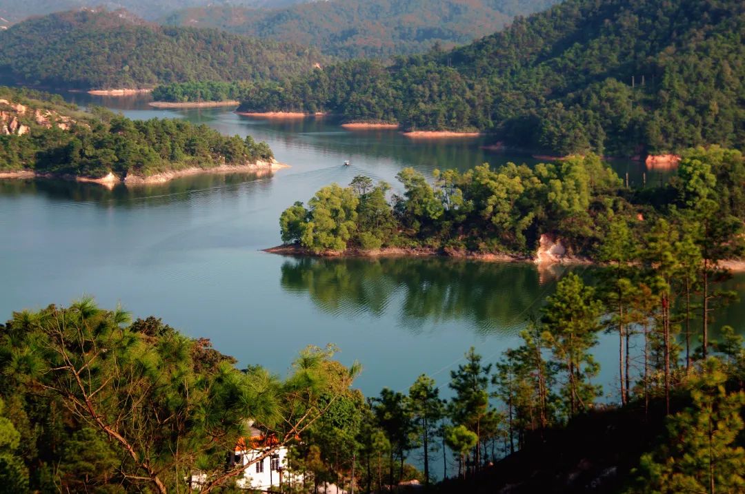 到广东过大年,来云浮运长龘|云浮市_新浪财经_新浪网