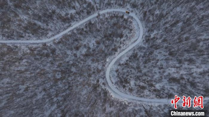 （新春走基层）中俄边境线上的护路人：在原始林区里与路为伴