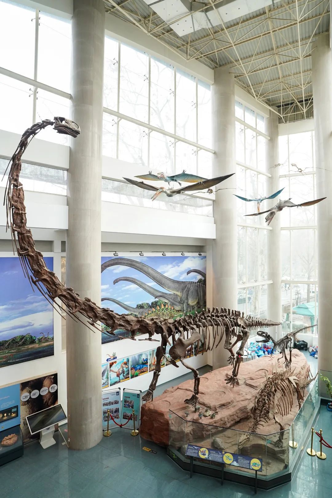 新华社记者李博 摄