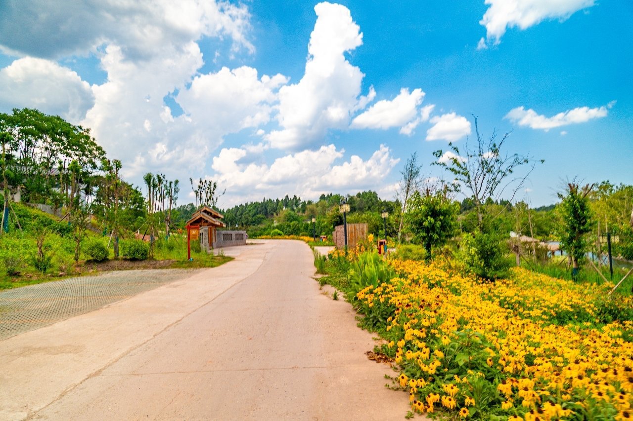 羊叉河乡村振兴景观示范带.资阳观察 吴昊江 摄