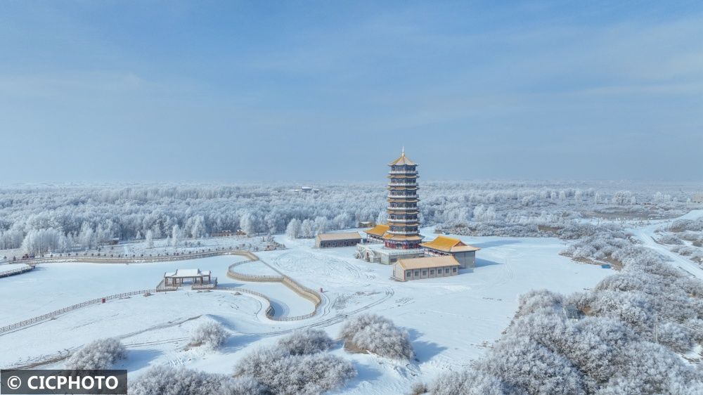2024年2月6日在甘肃省酒泉市金塔沙漠胡杨林景区拍摄的雾凇和雪景.