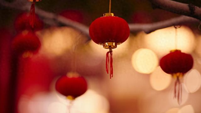 谭爷爷携“顶流”花花C位出场！龙年春晚名场面都在这里了！|春节联欢晚会_新浪财经_新浪网