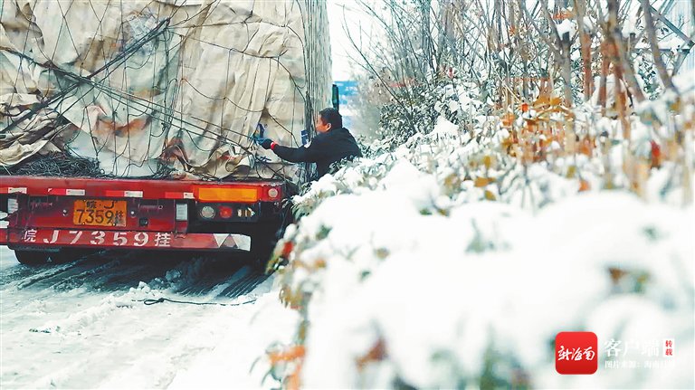 在这几天的归途中,老田的货车渡过了交通繁忙的琼州海峡,遭遇了高速