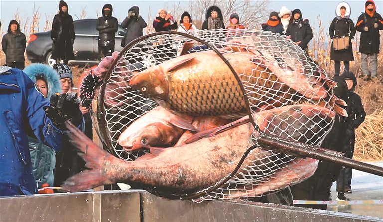 呼吸龙江|话说兴凯湖冬捕|冬捕_新浪财经_新浪网