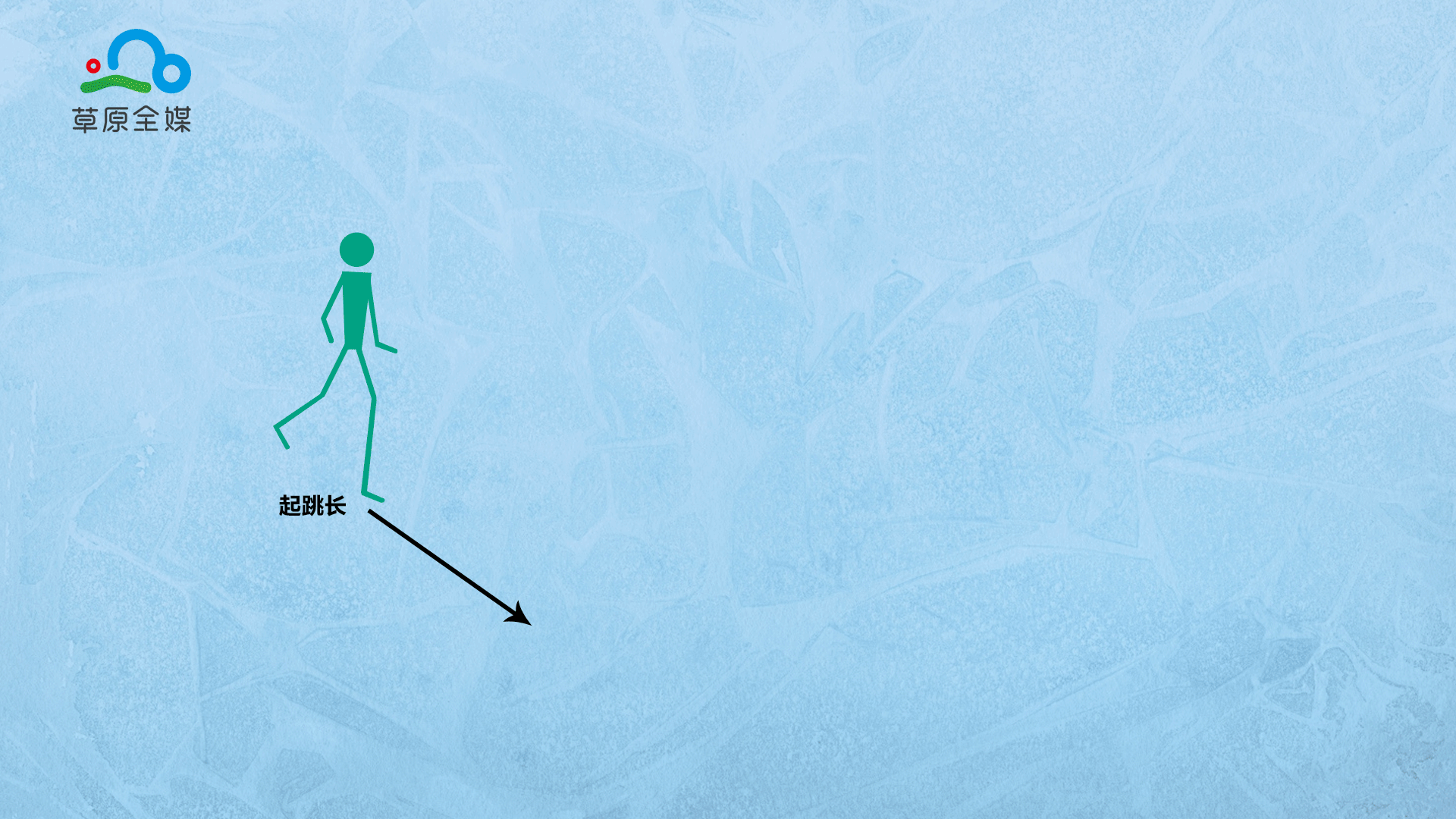 跳跃动作生物力学分析。