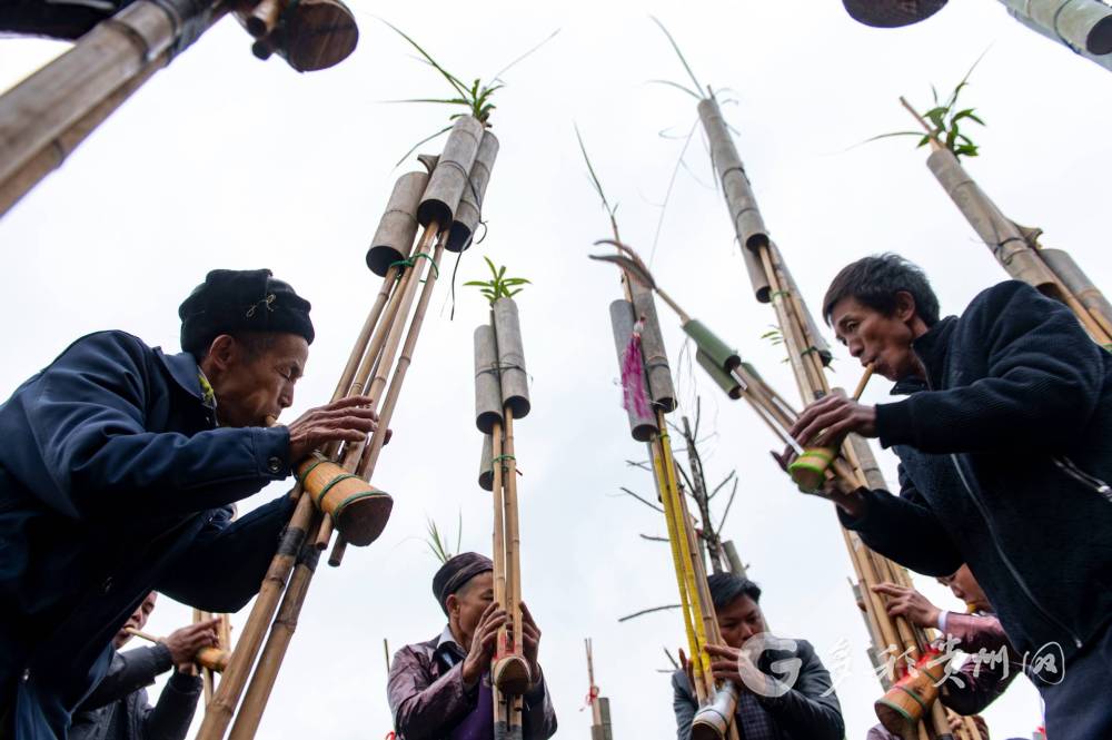 芦笙吹响苗族群众参加芦笙踩堂活动
