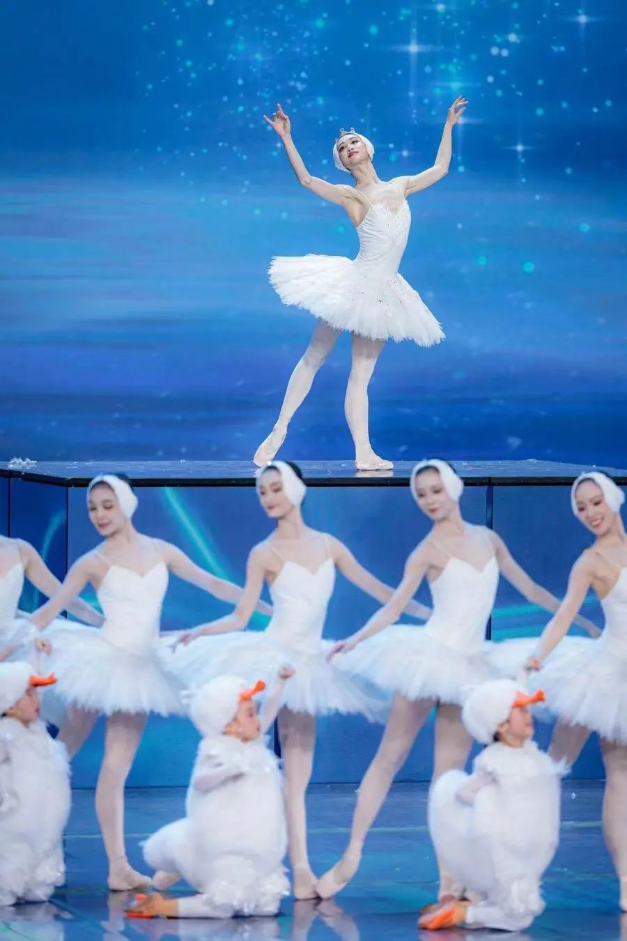 除夕夜,一群"上海天鹅"飞上央视春晚舞台!直言:"太不容易了"