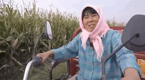 干农活中的裴爱民。受访者供图