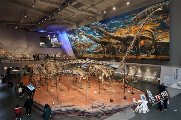 恐龙厅收藏着一个"侏罗纪恐龙世界"可以去重庆自然博物馆想与恐龙对话