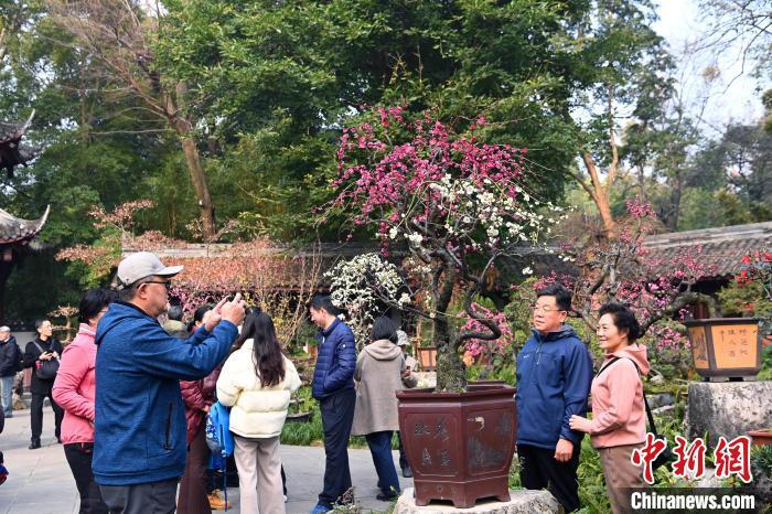 游客在成都杜甫草堂拍照留念。记者安源 摄