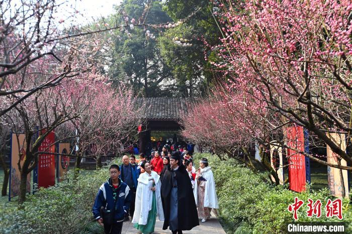 游客在成都杜甫草堂赏梅。记者安源 摄