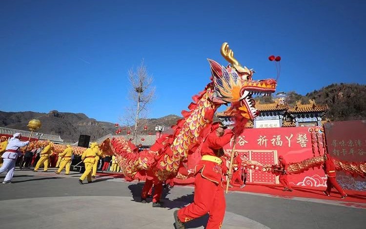 北京市平谷区丫髻山春节祈福庙会舞龙表演.新京报记者 薛珺 摄