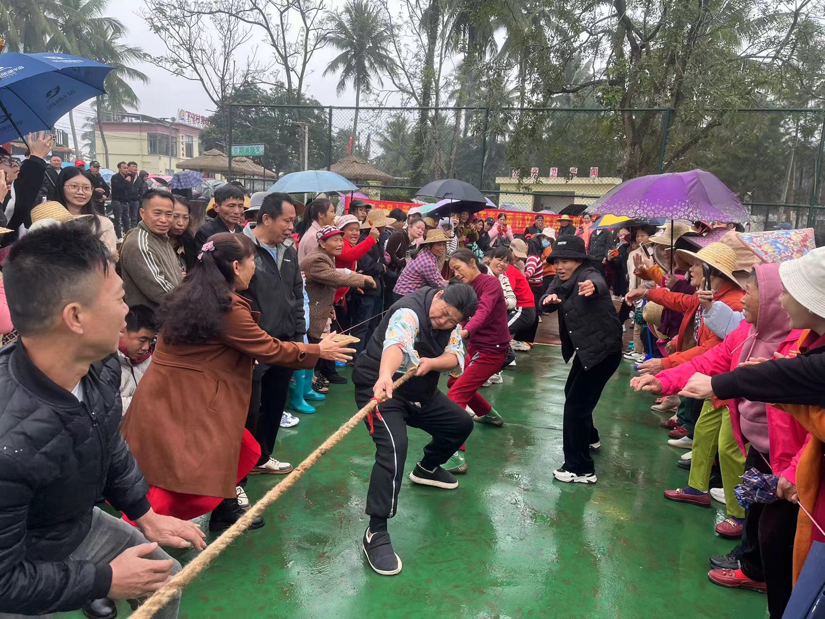 屯昌县新兴镇下屯村正在举行拔河比赛.通讯员林小丹摄