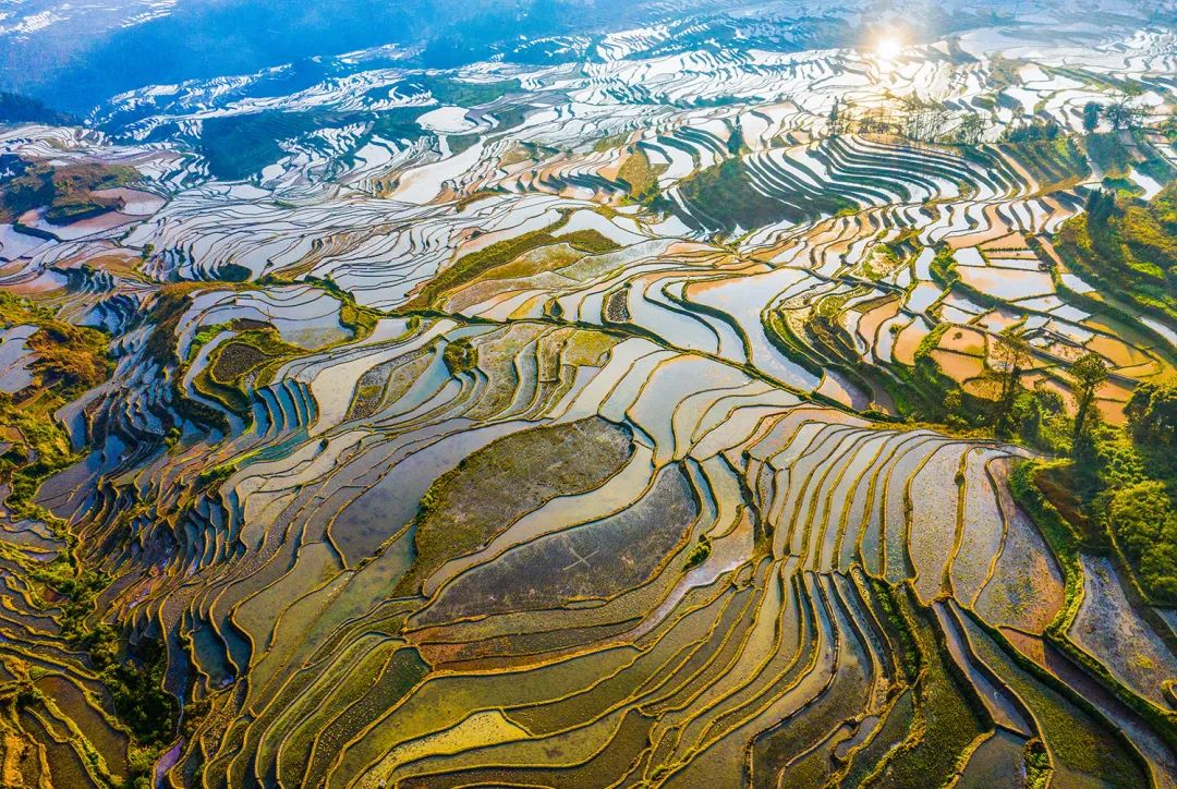 红河哈尼梯田.田文国摄(中经视觉)