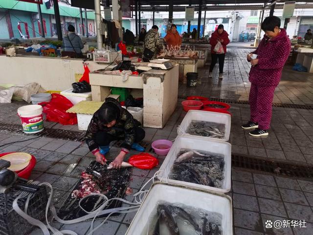 在安徽省合肥市长丰县城东大市场,顾客在陈如林家的摊前买鱼(2月11日