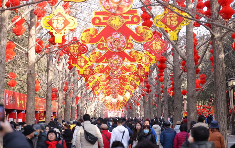 2月11日上午，第三十六届地坛春节文化庙会开幕。新京报记者 王贵彬 摄