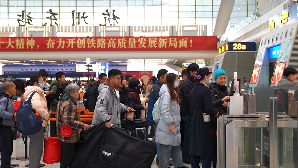 旅客在杭州东站检票上车。祝泰朗  摄