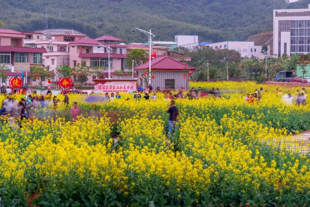 广宁,势如破竹!|农村_新浪财经_新浪网