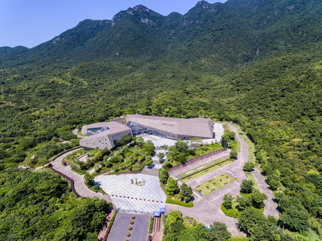 深圳网红景点,还有多少没打卡|深圳市_新浪财经_新浪网