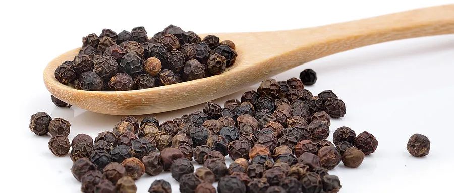 西晋司马彪撰写的《续汉书》中记载:"天竺国(古印度)出石蜜,胡椒,黑盐