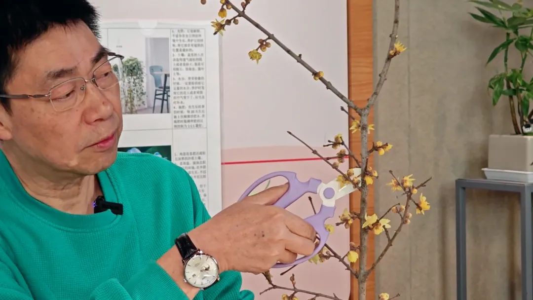 静安园艺云课堂第一期:国家花艺大师教你制作新春家庭