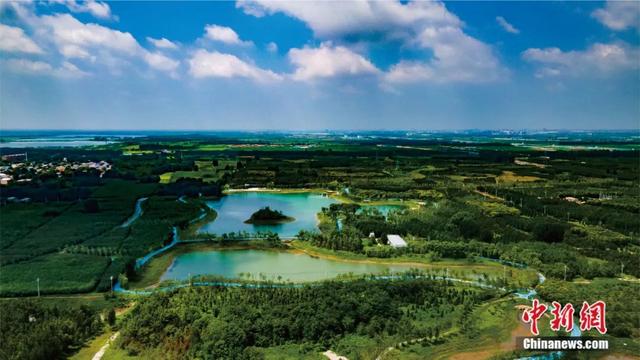 雄安新区"千年秀林"景色.刘光昱 摄