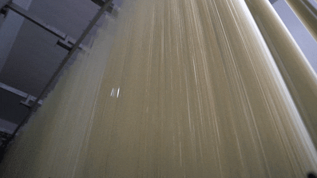 藁城宫面。藁城区融媒体中心提供　河北日报记者许佳奇制作