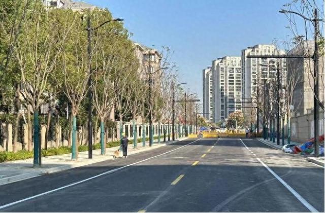 这些道路在悄悄改变你的出行体验|医院_新浪