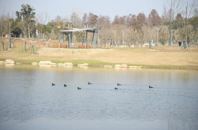 欢欢喜喜过大年丨踏浪而行,龙腾四海,在浦东感受江河