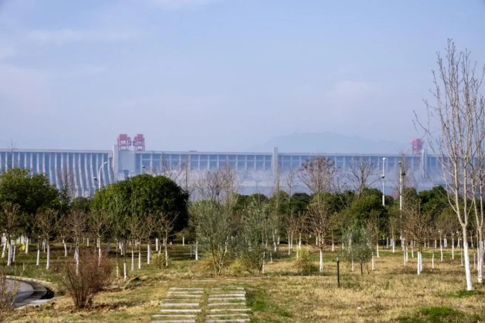 冬日三峡的盈盈绿意摄影:崔徐波