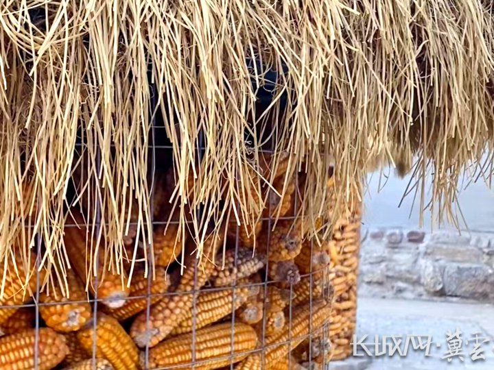 春节随拍vlog丨来这里,听每一块石头讲年味故事