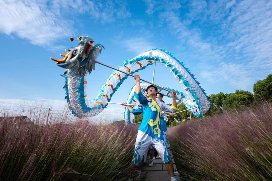 相关部门：金山区小巷子有哪些隐藏的故事和独特风景？