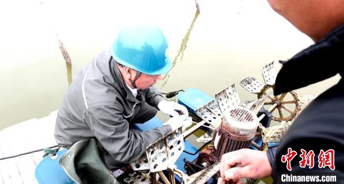 （新春走基层）“电保姆”林海伟的第30个海岛春节