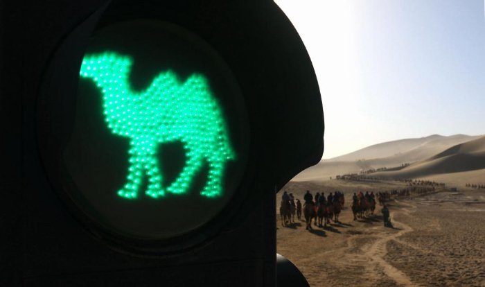 一景区设骆驼红绿灯图片