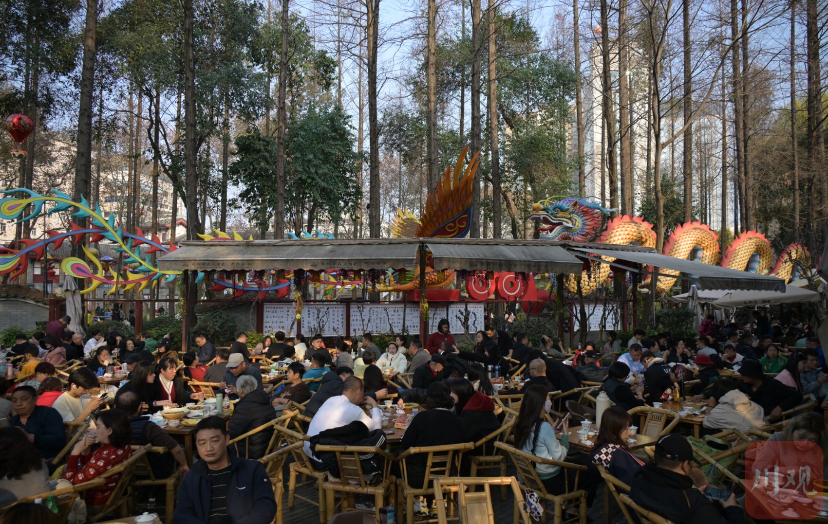 图集丨喝坝坝茶晒太阳 体验成都"慢生活"|人民公园