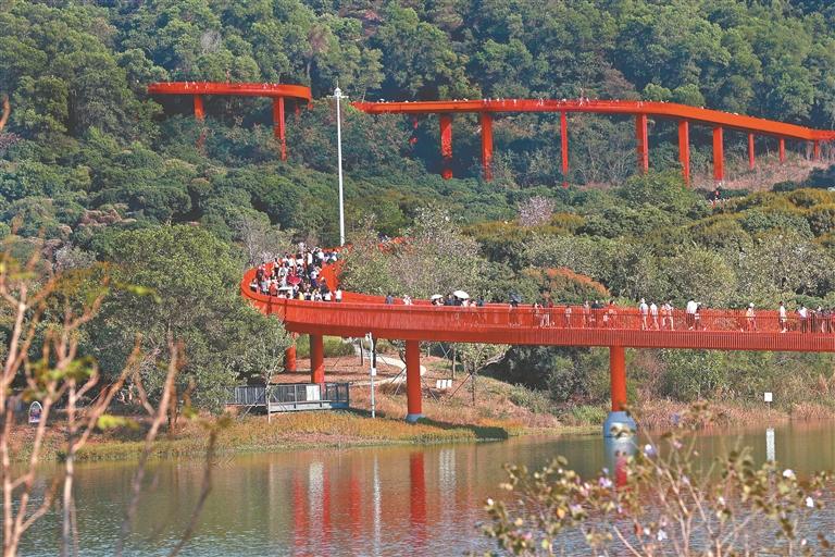春节阳光明媚,光明虹桥公园,市民一波接着一波爬上"彩虹桥"游玩.