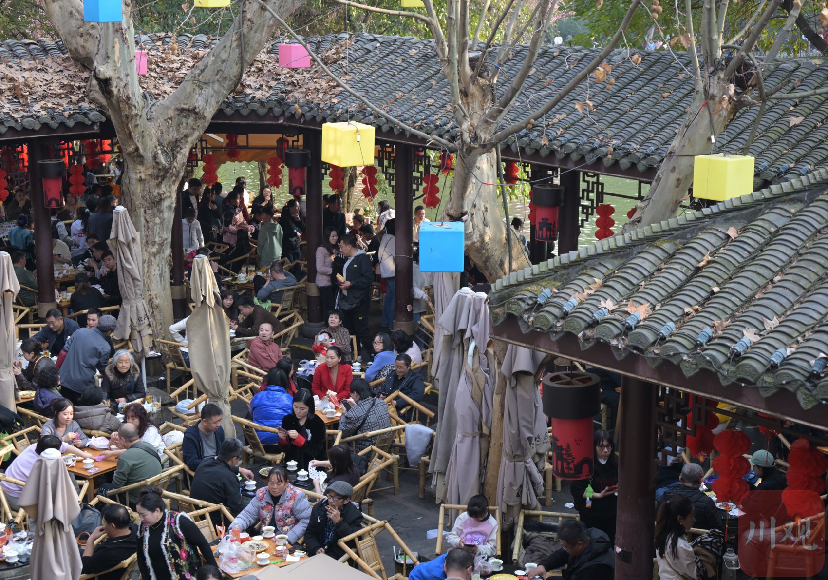 图集丨喝坝坝茶晒太阳 体验成都"慢生活"|人民公园