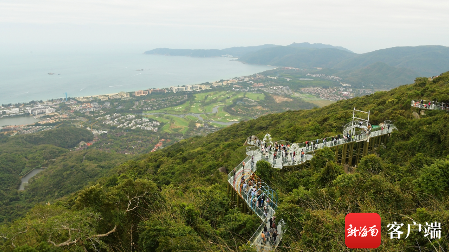 2月15日,游客在三亚亚龙湾热带天堂森林旅游区游玩.通讯员 黄庆优 摄