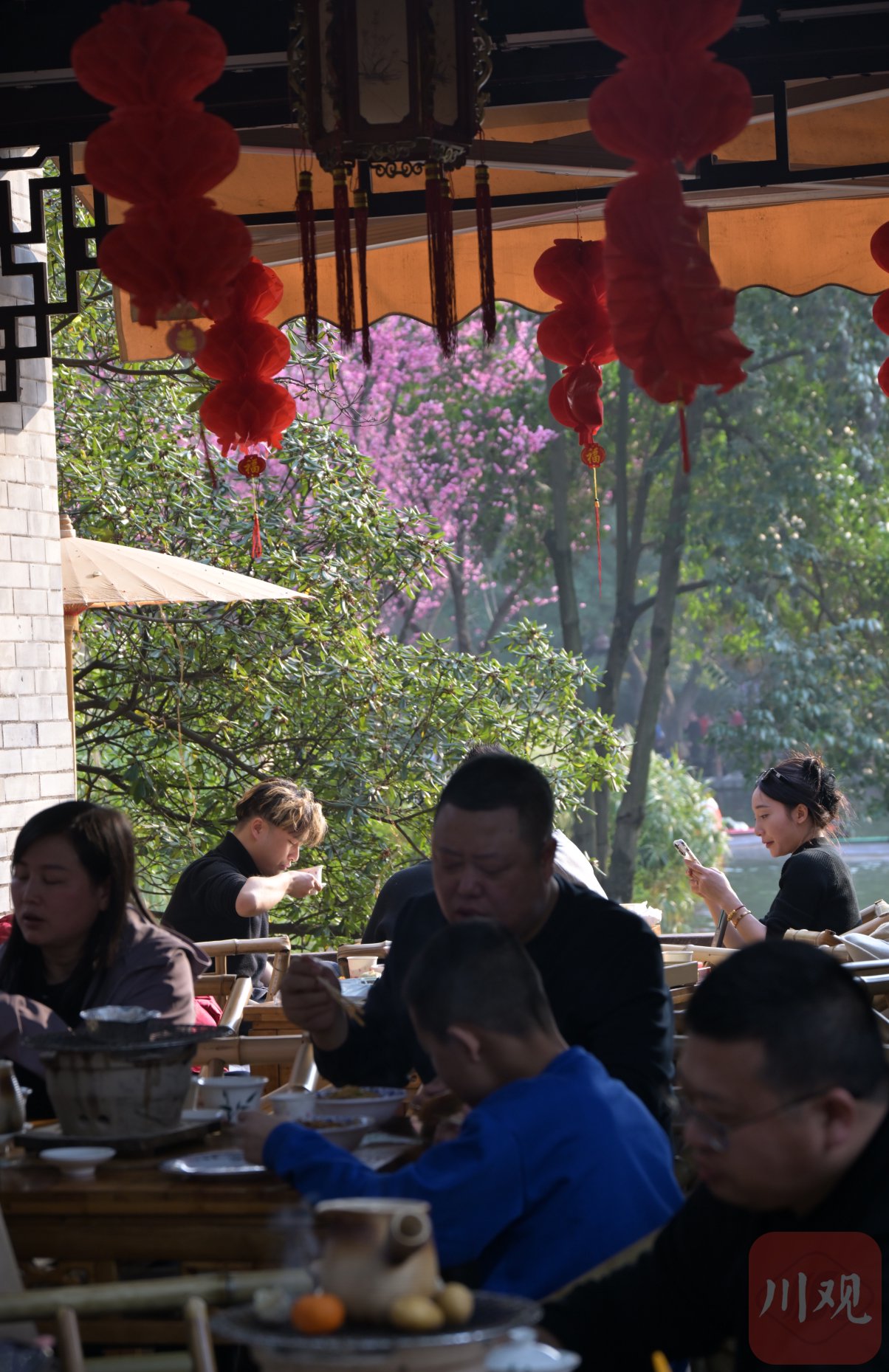 图集丨喝坝坝茶晒太阳 体验成都"慢生活"|人民公园