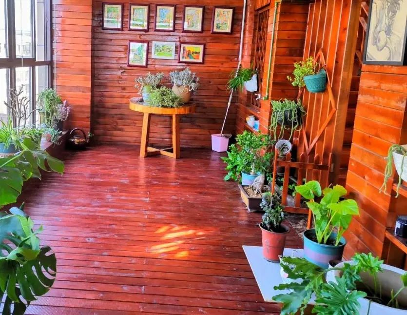 晒晒我家的最美庭院②|广东省_新浪财经_新浪网