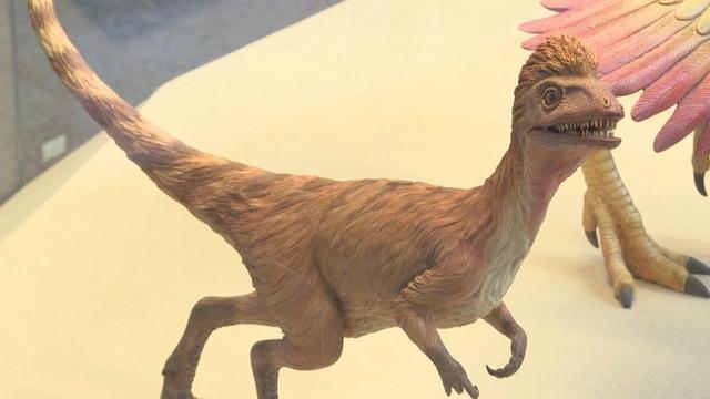 欢欢喜喜过大年丨龙年说龙:来瞧瞧自博馆里的"中国龙"|恐龙_新浪财经