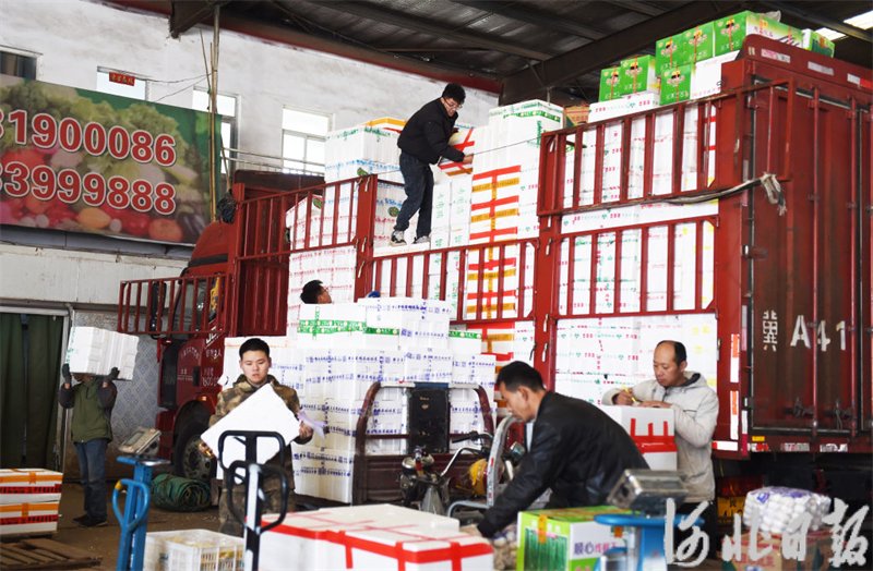2月16日,在邢台市邢州农产品批发市场,商户正将蔬菜卸车.