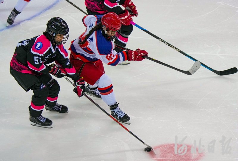 聚焦"十四冬"丨青年组女子冰球开赛 河北队首战不敌队