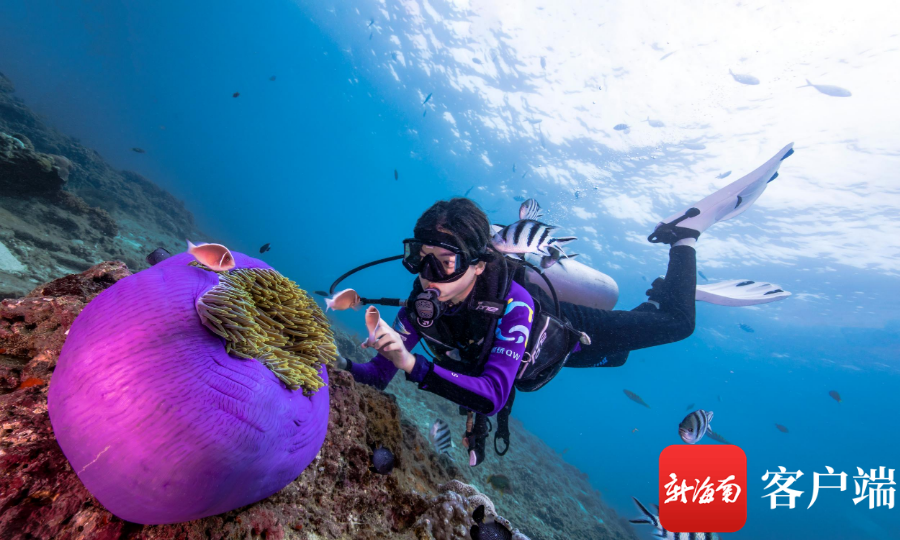 壁纸 桌面 900_540