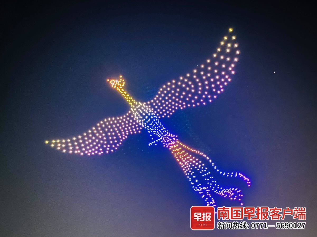 北海园博园内,800台无人机组成神龙和凤凰.记者 彭庆 摄